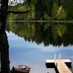 Summer at the Lake