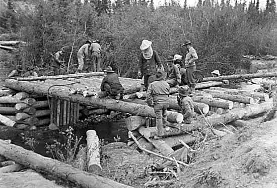 Building a Log Bridge