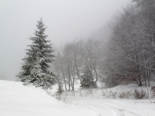 The old road to Lyngenfjord in Winter