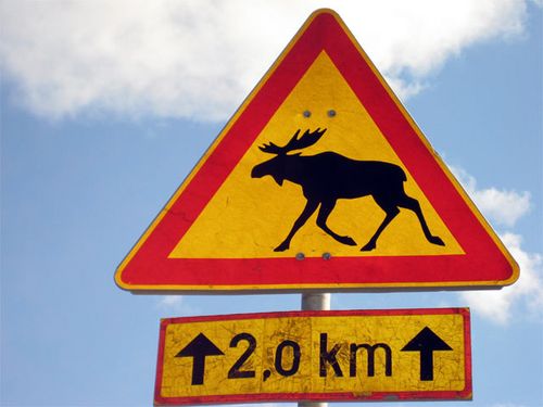 Finland - Warnings, Advice and Safety Tips for Visitors