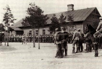 Danish Volunteers