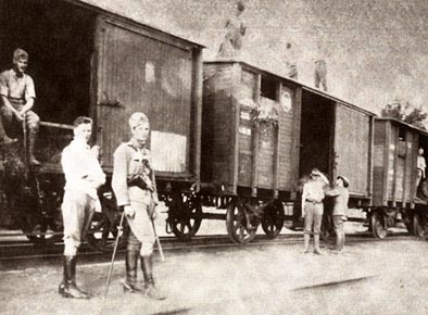 Danish Volunteers in Estonia