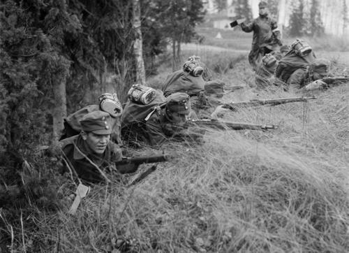 Finnish Army in the 1920's