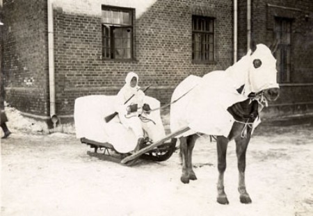 Finnish Army of the 1920's